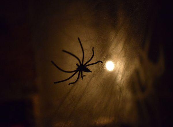 Перформанс Кто здесь?! в Хабаровске